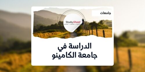 جامعة الكامينو