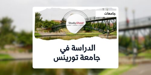 جامعة تورينس