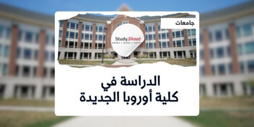 كلية أوروبا الجديدة