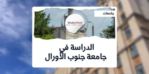 جامعة جنوب الأورال