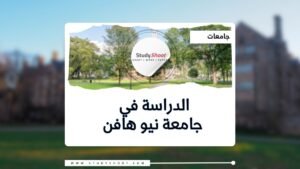 جامعة نيو هافن