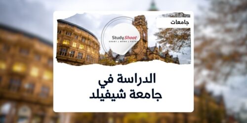 جامعة شيفيلد