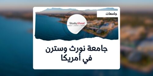 جامعة نورث وسترن