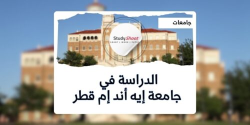 جامعة تكساس إيه أند إم قطر