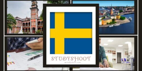 دراسة إدارة الأعمال في السويد