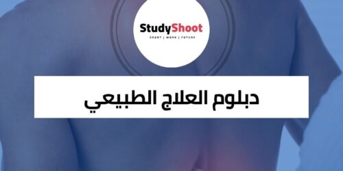 دبلوم العلاج الطبيعي عبر الإنترنت