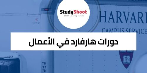 دورات هارفارد في ريادة الأعمال