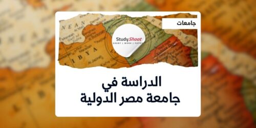 جامعة مصر الدولية