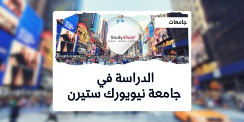 جامعة نيويورك ستيرن