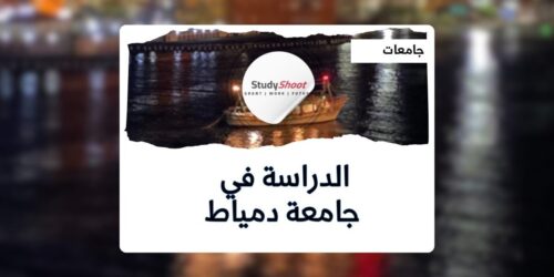 جامعة دمياط