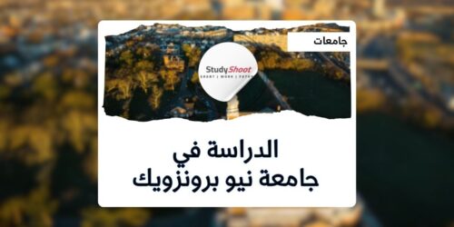 جامعة نيو برونزويك