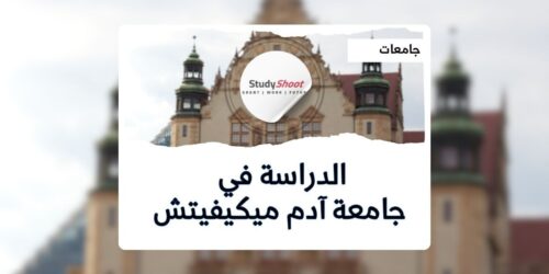 جامعة آدم ميكيفيتش