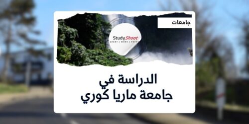 جامعة ماريا كوري سكودوفسكا