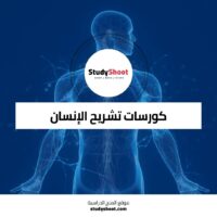 كورسات تشريح الإنسان