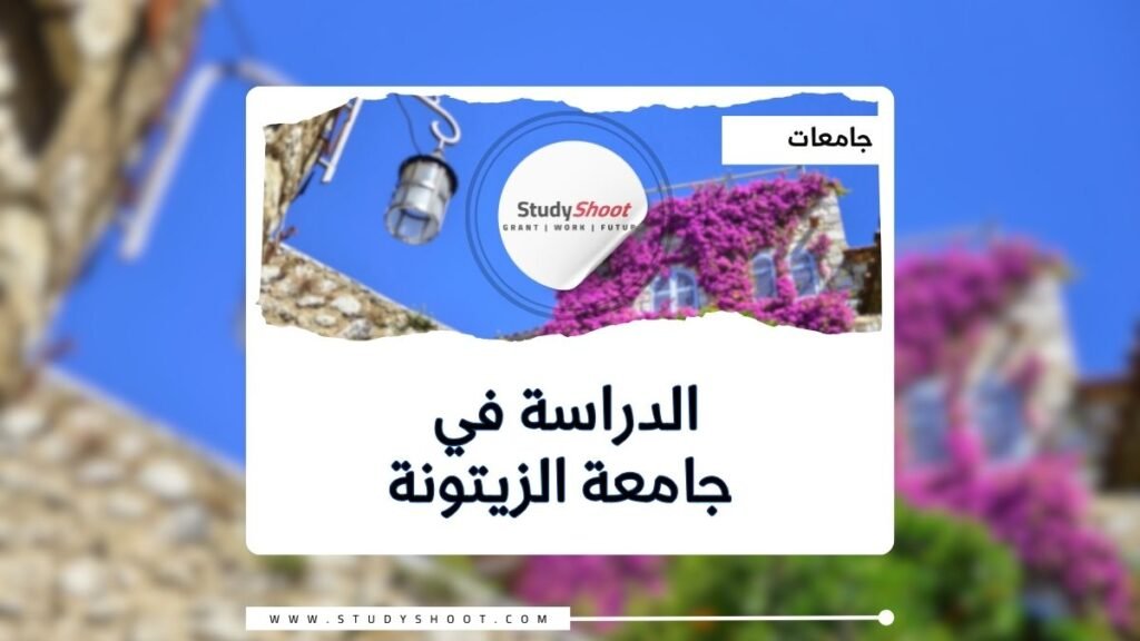 جامعة الزيتونة