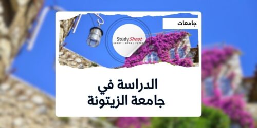 جامعة الزيتونة