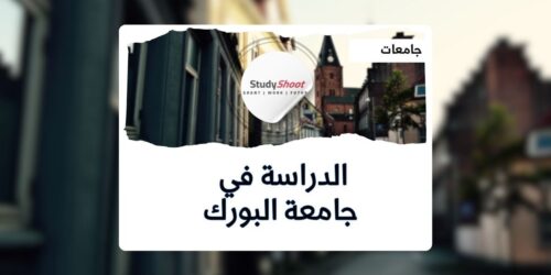 جامعة البورك