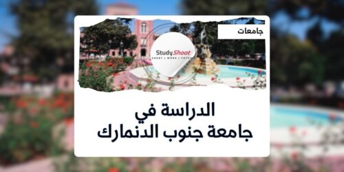 جامعة جنوب الدنمارك