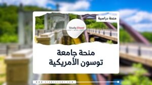 منحة جامعة توسون