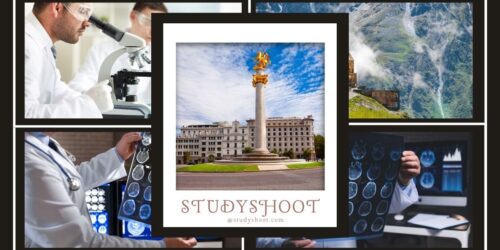 دراسة الطب البشري في جورجيا