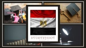 منحة الجامعات الخاصة في مصر