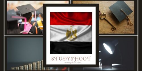 منحة الجامعات الخاصة في مصر