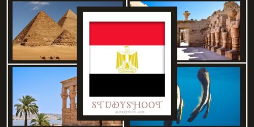 دراسة الهندسة الطبية في مصر