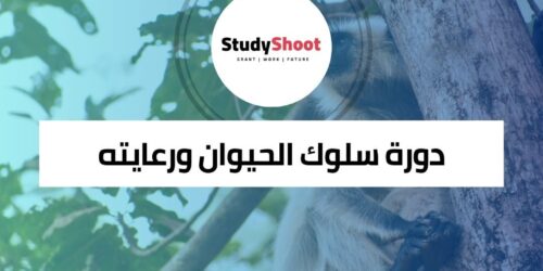 دورة سلوك الحيوان ورعايته عبر الإنترنت