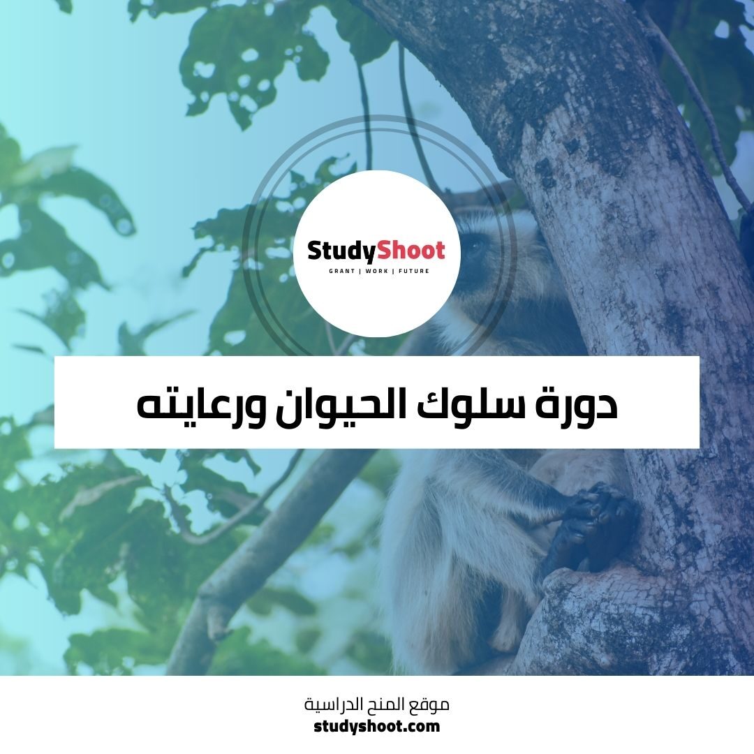 دورة سلوك الحيوان ورعايته عبر الإنترنت