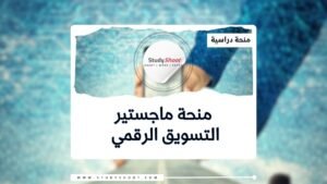 منحة ماجستير التسويق الرقمي في فرنسا