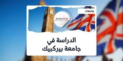 جامعة بيركبيك