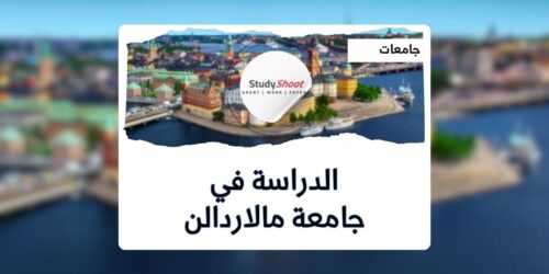 جامعة مالاردالن