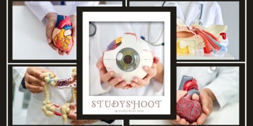 الاختصاص بعد الطب