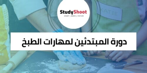 دورة المبتدئين لمهارات الطبخ الأساسية