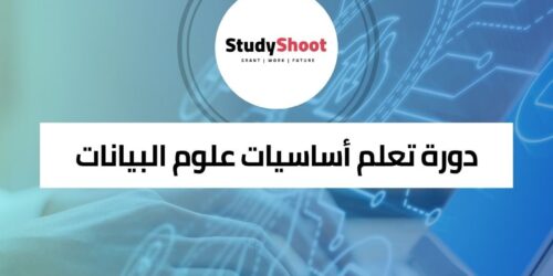 دورة علوم البيانات الضخمة