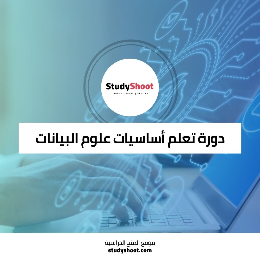 دورة تعلم أساسيات علوم البيانات الضخمة