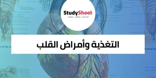 كورس التغذية وأمراض القلب