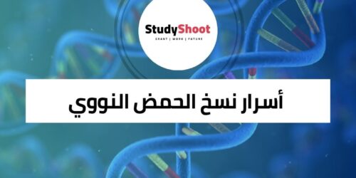 اكتشف أسرار نسخ الحمض النووي وإصلاحه