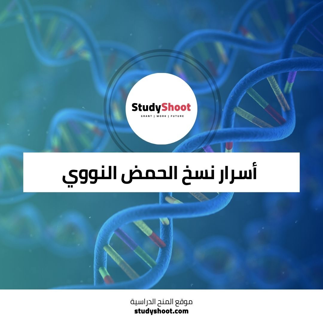 اكتشف أسرار نسخ الحمض النووي وإصلاحه