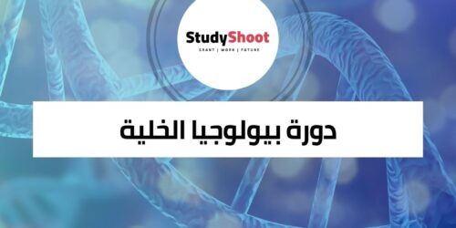 دورة بيولوجيا الخلية الميتوكوندريا عبر الإنترنت