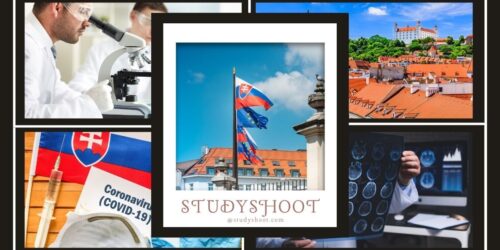 دراسة الطب في سلوفاكيا
