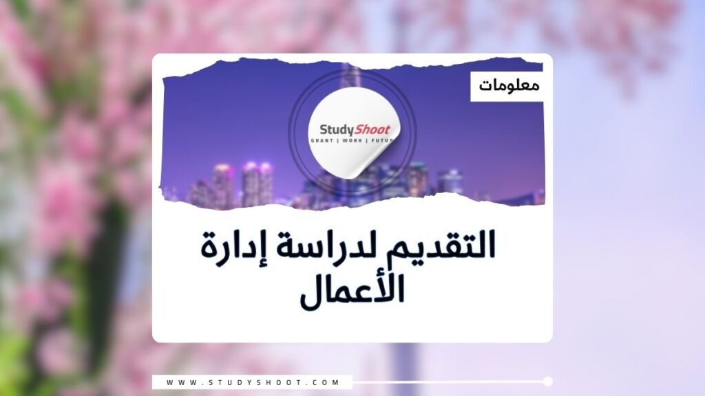 دراسة إدارة الأعمال في كوريا الجنوبية