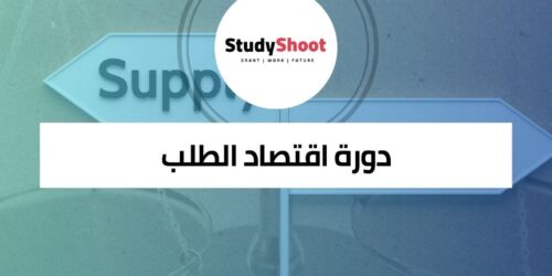 دورة اقتصاد الطلب