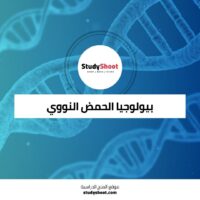 دورة شاملة في بيولوجيا الحمض النووي من البنية إلى التطبيقات