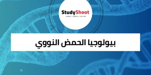 دورة شاملة في بيولوجيا الحمض النووي من البنية إلى التطبيقات