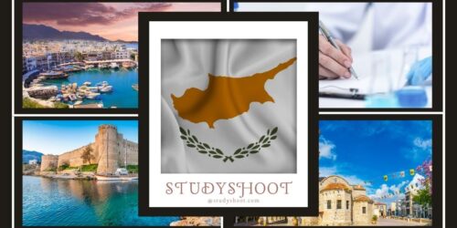 دراسة الطب في قبرص