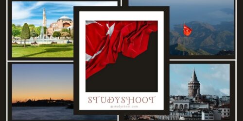 أهم تخصصات الدراسة في تركيا