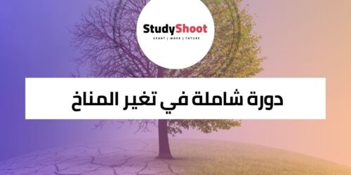 دورة شاملة في تغير المناخ وإزالة الكربون من قطاع الطاقة