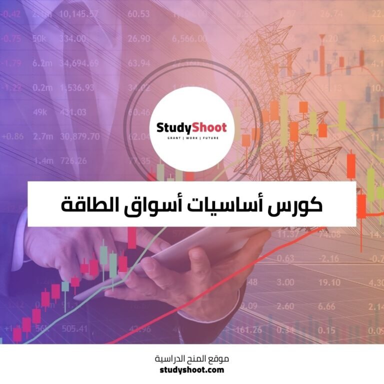 كورس أساسيات أسواق الطاقة لفهم ديناميكيات سوق الكهرباء الأوروبية