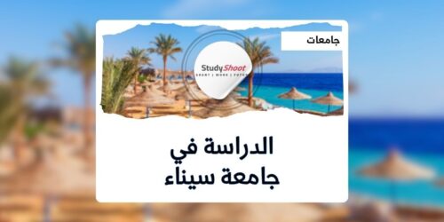 جامعة سيناء